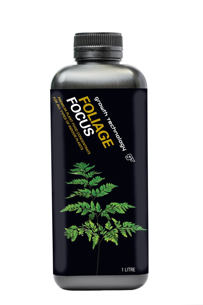 gt focus on foliage plant fertilizer GT Focus Foliage Focus – Rare Roots Of Joy