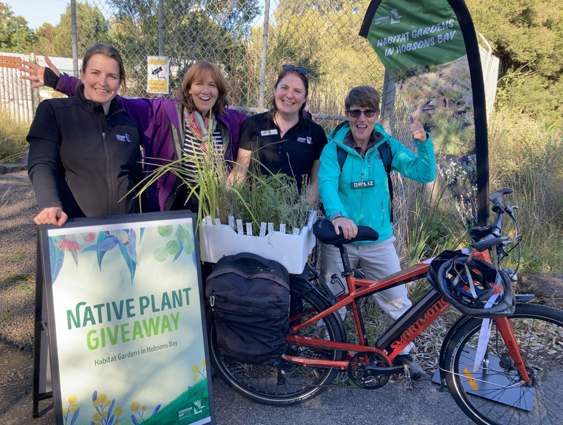 250 Boxes of Free Native Plants Given Away in Conservation Program ...